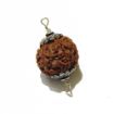 Seven Face Rudraksha with double loop