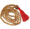 Four Face Nepali Rudraksha as Pendant in 5 face Rudraksha Mala