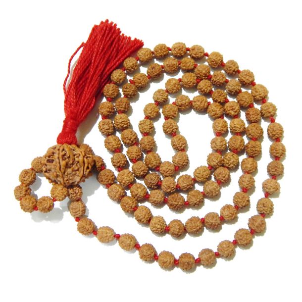 Seven Face Nepali Rudraksha in Five Face Indonesian Rudraksha Mala