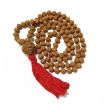 Six Face Nepali Rudraksha in Six Face Rudraksha Mala