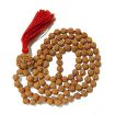 Six Face Nepali Rudraksha in Five Face Rudraksha Mala