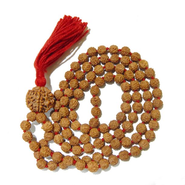 Six Face Nepali Rudraksha in Five Face Rudraksha Mala