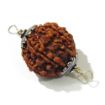 Eight Face Rudraksha with double loop