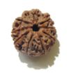 Nine Face Nepali Rudraksha 