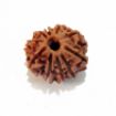 Ten Face Nepali Rudraksha 