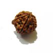 Picture of Ganesha Rudraksha